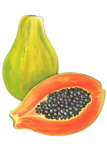 Papaya enzymes to clear pores