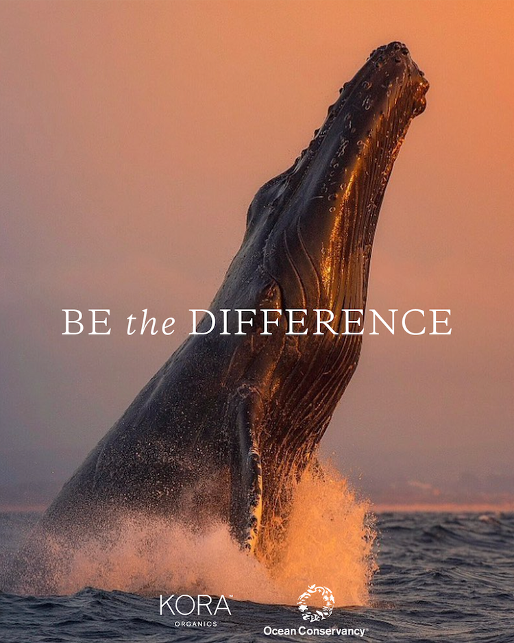 BE THE DIFFERENCE OC